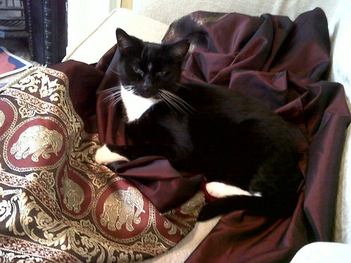 catx_pye's profile picture. Secondary Teacher of English and Head of Literacy in a Norwich City School. Lucky to work in the best profession. All views expressed are my own.