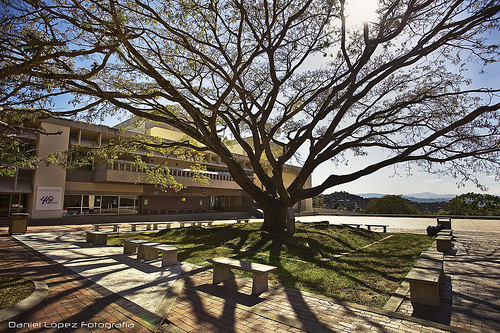 Departamento de Estudios Ambientales de la @UNIMET