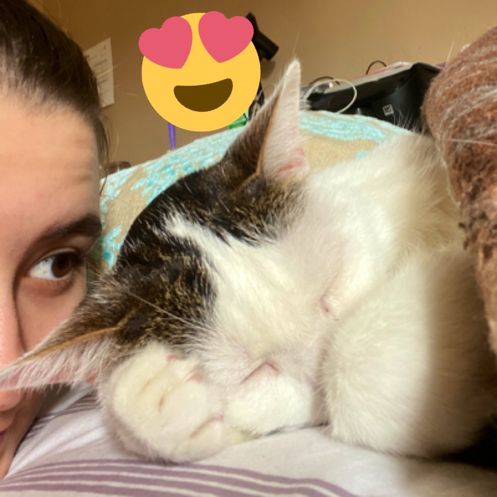 Donovanalia's profile picture. 