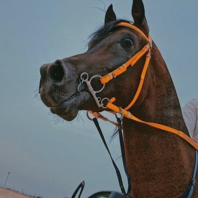 sssah125's profile picture. 