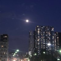 ひびのきろく (@poeta19741) 's Twitter Profile Photo ひびのきろく (@poeta19741) 's Twitter Profile Photo