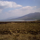 Eva Cahill - @evacahill1 - Twitter