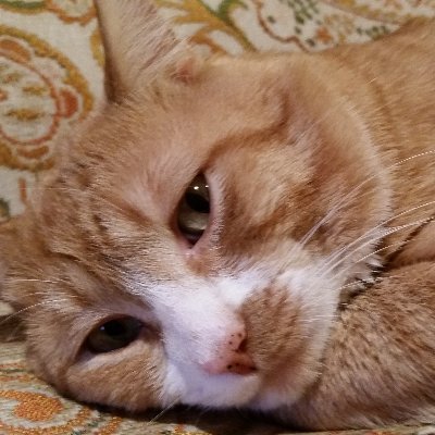 Kinneymusic1's profile picture. 