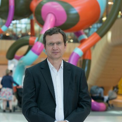 Cardiothoracic Surgeon, Royal Children's Hospital Melbourne.
Professor, The University of Melbourne.
Director, CardioRegen, Melbourne, Australia.