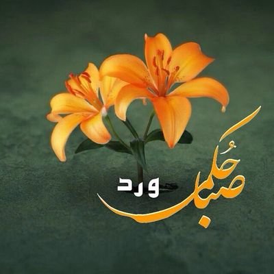 kahin98's profile picture. Never Say Never