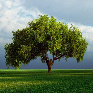 disciplinehowto's profile picture. Blog about how to develop self discipline beat procrastination and get things done more effectively.