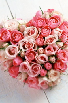 LomyF1234's profile picture. I just adore the yogs cast