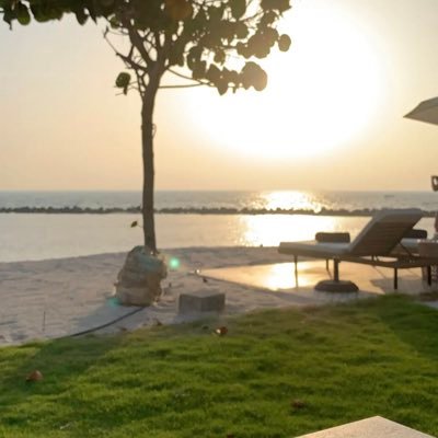 Amal34548159's profile picture. كويتيه 🇰🇼