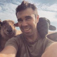 Pastures Old (@thestallsfarm) 's Twitter Profile Photo