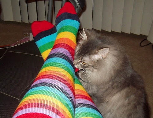 dstormdc's profile picture. Reader. Sometimes Writer. Eater. Gamer. Lazy.