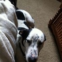 Manny Williams - @MannySchnookums - Twitter