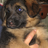 ticklemetyra's profile image