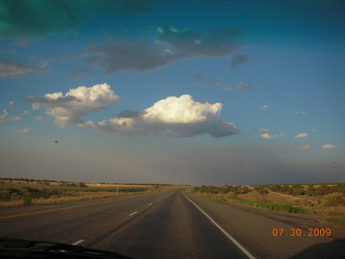 loislaneiscool's profile picture. 