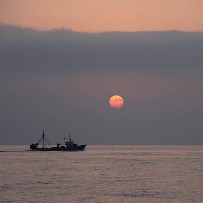 Coneix la pesca al Mediterrani a bord d'embarcacions professionals 🐟🦐🛥🐙🦀🦈