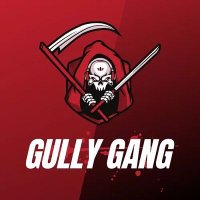 Gully Gang(@GullyGangT20) 's Twitter Profile Photo