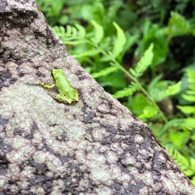 marie_mm35's profile picture. サンリオとゆるキャラが好き