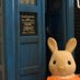 Dr Lizzie Norton @drlizzienorton.bsky.social (@hilaryhamster) Twitter profile photo Dr Lizzie Norton @drlizzienorton.bsky.social (@hilaryhamster) Twitter profile photo