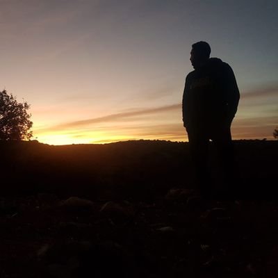 KamelMarwane's profile picture. 