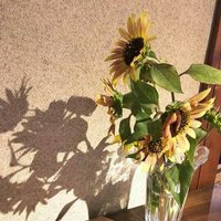 MONODANE@LIFE (@monodanelife1) 's Twitter Profile Photo MONODANE@LIFE (@monodanelife1) 's Twitter Profile Photo