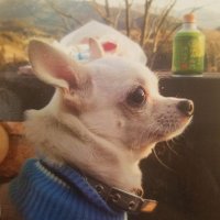 たまじ (@xep9rshhdstfomn) 's Twitter Profile