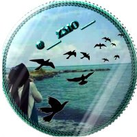 🇮🇶 ڗﯣمۘــﯜڔد🇮🇶 (@___zmo___) 's Twitter Profile