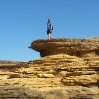 steve (@stevenaclay72) 's Twitter Profile