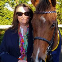 Susie Hartley (@gallopdown) 's Twitter Profile