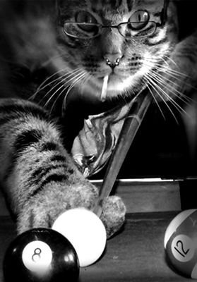 ApramHema's profile picture. ok