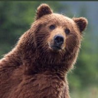 M49 (@m49liberorso) 's Twitter Profile Photo M49 (@m49liberorso) 's Twitter Profile Photo