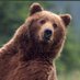 M49 (@m49liberorso) Twitter profile photo M49 (@m49liberorso) Twitter profile photo