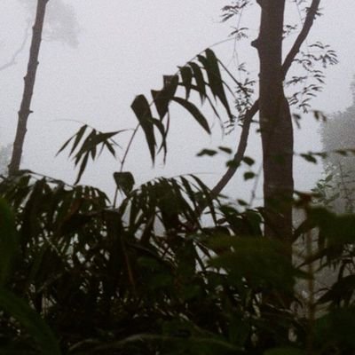 DD75582099's profile picture. ALDD