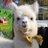 ruka_ff14
