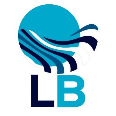 @lakebrains