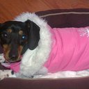 Bella Dyer - @belladyer - Twitter