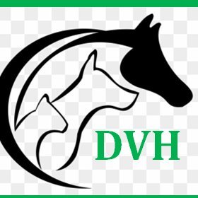 DVH Sales deals in all kinds of multi-brand Surgical Equipment for Medical/Veterinary Surgery in addition to repair / technical services.