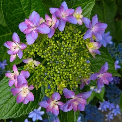 L3_and_be_Happy's profile picture. 2023.05〜ピアノのレッスン再開☆
子どもの頃少しだけ習っていて、練習が嫌で辞めてしまったレッスン。ピアノは趣味で弾き続けていたけれど、もっと上手になりたくてまた習い始めました。
2児のワーママ/ダイビング（OW）