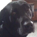 Robert Ell - @rusty396 - Twitter