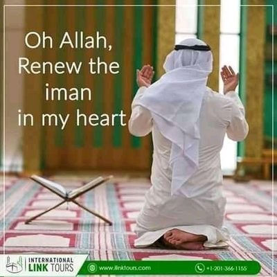 itz_abdallahsbg's profile picture. #Accountant💜| #Economist💛| #Researcher💙| #Professional_Teacher💖| CEO @ https://t.co/RvIw8F41eU @abkhair
Fear the Fire🔥, even if by giving half a date🍬 (in charity).