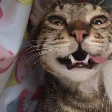 mnunesjr05's profile picture. 19zada
Eng. Telecomunicações CEFET - RJ