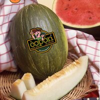 Melon de Villaconejo (@villaconejos) 's Twitter Profile
