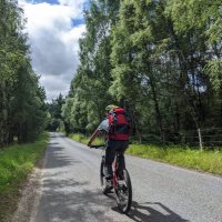nico powell (@nicopfs) 's Twitter Profile
