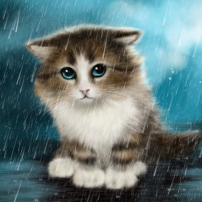 Opino y me quejo. Efectiviwonder, la sociedad me ha hecho ser así and very well fandango y gatitos para todos.