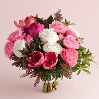 Suresh Thakker (@sureshthakker) 's Twitter Profile