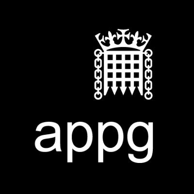 All Party Parliamentary Group on Dyspraxia