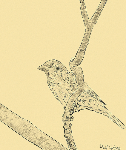 wisebirdswords's profile picture. Woman of a certain age, Non-executive director and coach. Healthcare and business background. Strange mix of optimist and cynic.