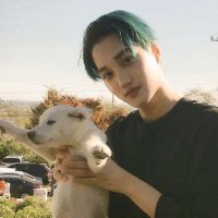 앙꼬 (@ankokai) 's Twitter Profile