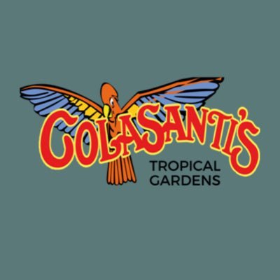 Colasanti Farms