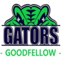 Goodfellow P.S. (@goodfellowps) 's Twitter Profile
