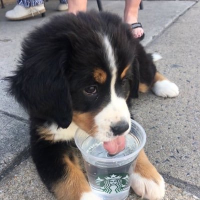 glesioo's profile picture. 