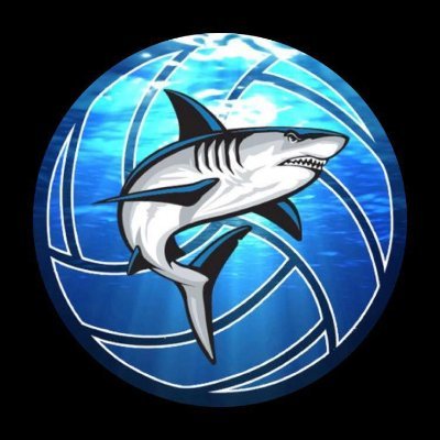 Official Twitter page of the Nova Southeastern women's volleyball team 🦈🏐💙